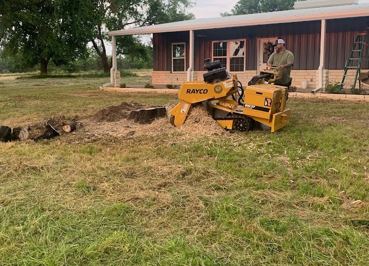 contractor operating a stump grinder